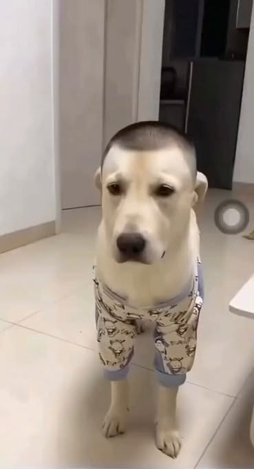 회원 프로필